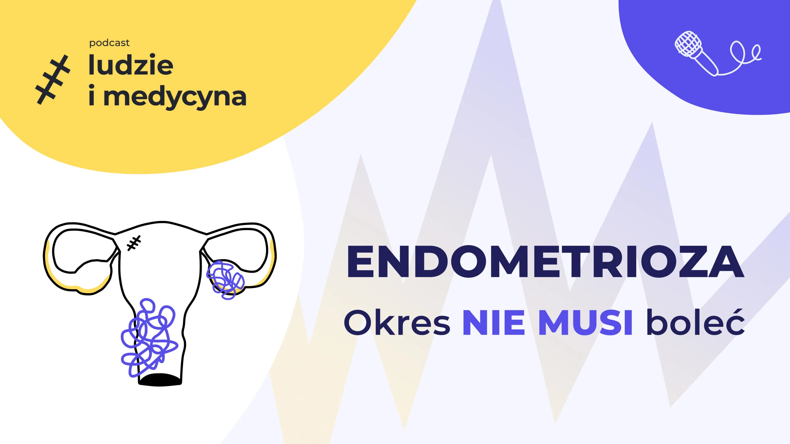 Schemat żeńskiego układu rozrodczego. Jajnik i macica pokryte są fioletowymi bazgrołami symbolizującymi ból. Obok napis: "Endometrioza. Okres nie musi boleć".